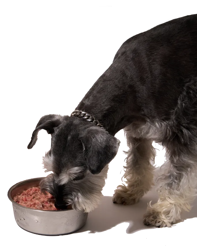 B.J. beside a Raw Dawg raw meal